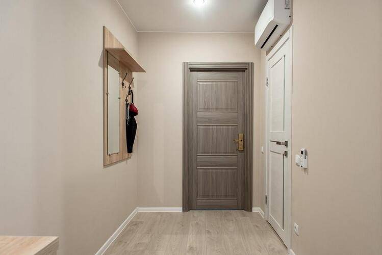 Амиго Академиа