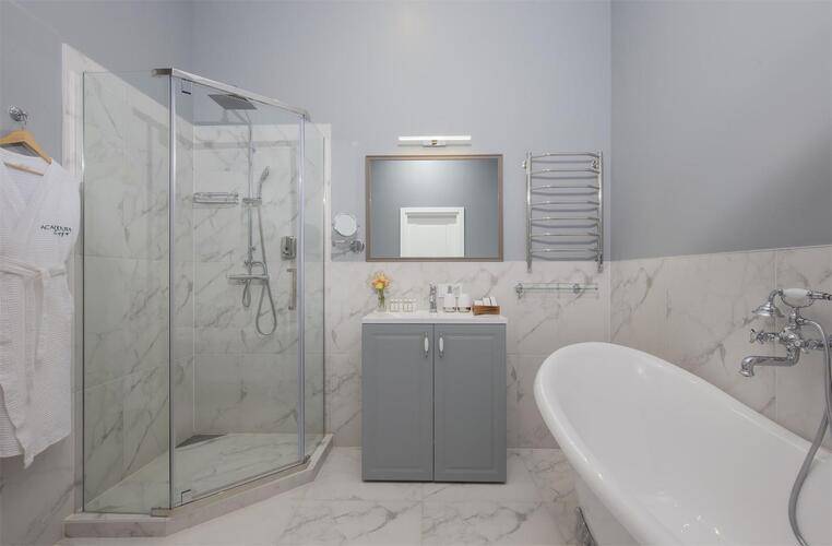 Академиа Васильевский