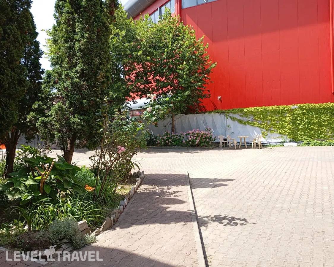 фотографии отеля Аквариум в Россия(Лазаревское) - фото №15