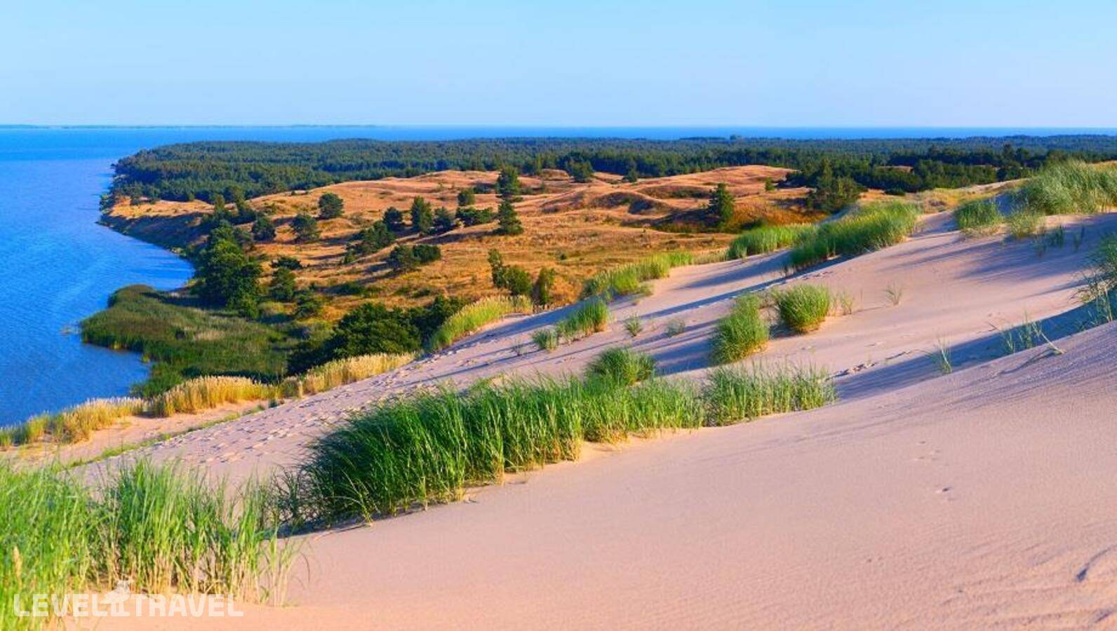 фотографии отеля Отель Ibis с экскурсией "Знакомство с Янтарным краем" (по пятницам) в Россия(Калининград) - фото №8