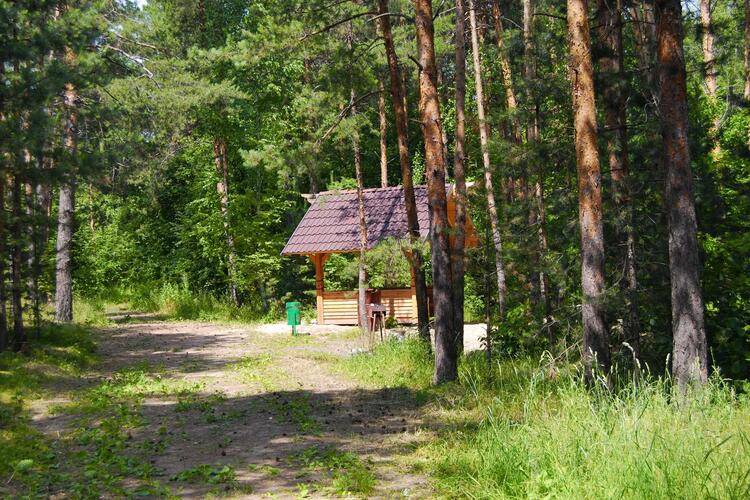 Отель Ирбис