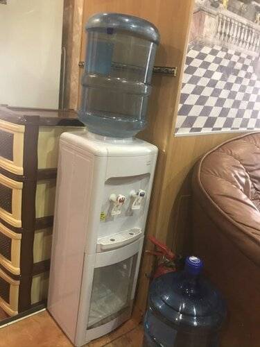 Отель Белый Бегемот