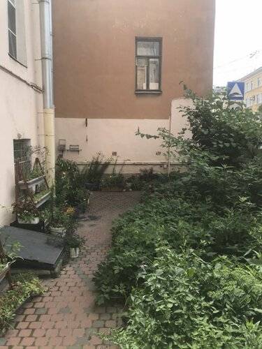 Отель Белый Бегемот
