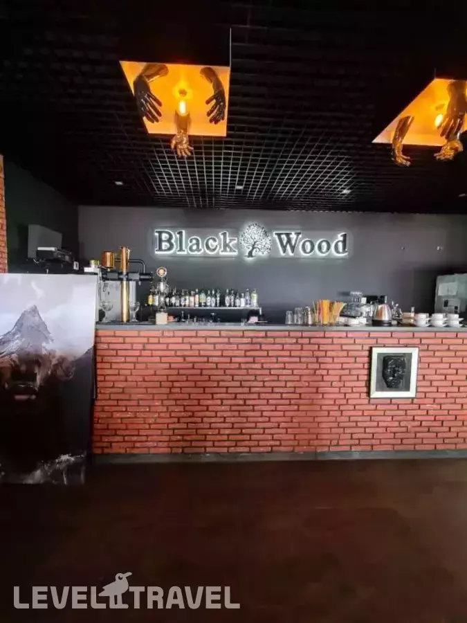 Мини-отель Black Wood
