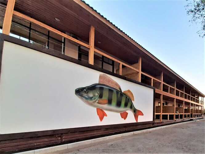 Рыболовно-охотничья База Fish Sense