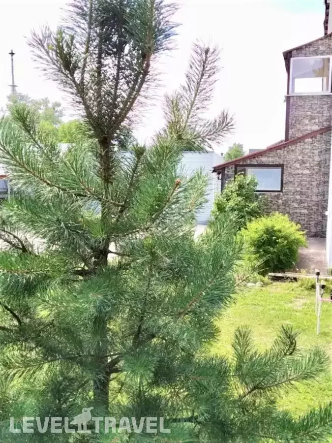 Мини-отель Гостевой Домик