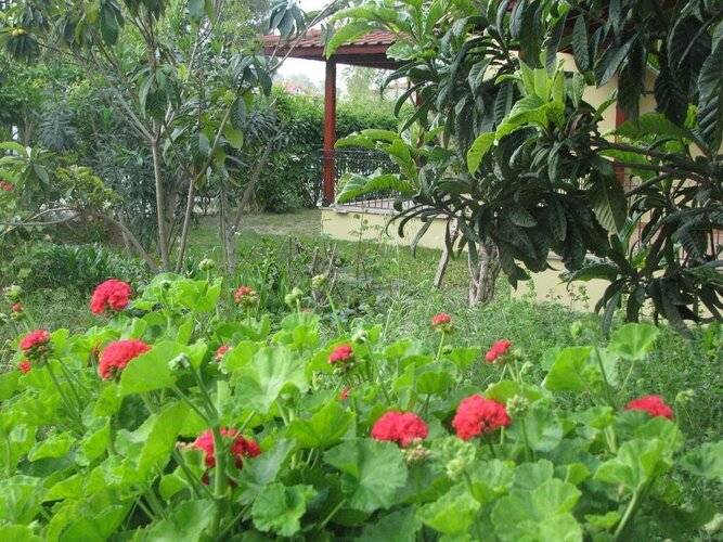 Alize Hotel