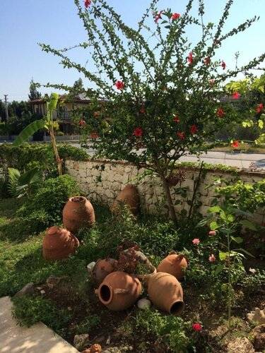 Kilim Apart Hotel