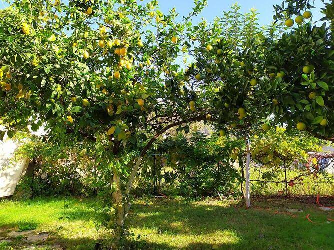 Bucak Apart Hotel Gocek & Beach