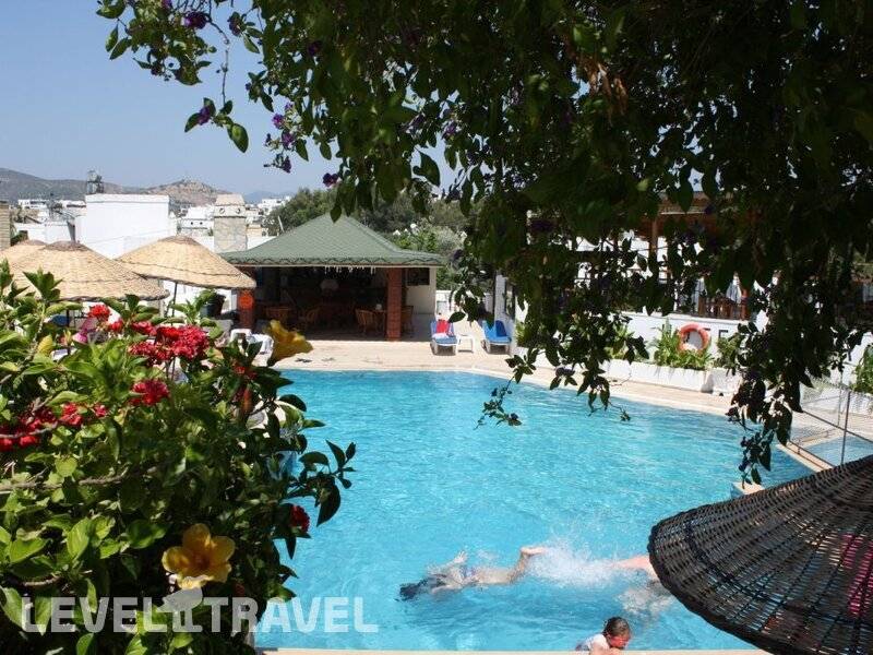 Фотография Bronze Hotel