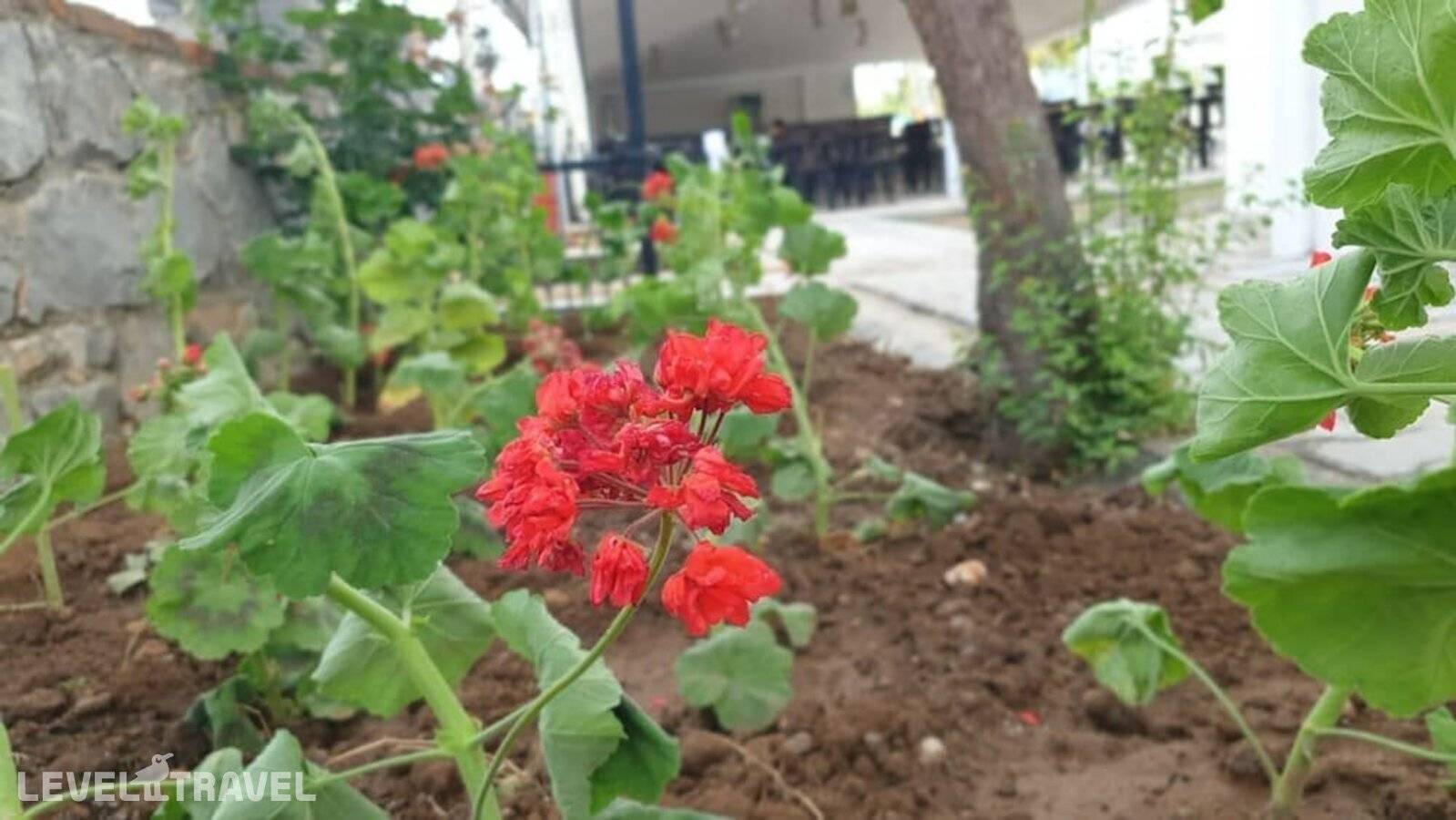 фотографии отеля Sardunya Hotel в Турция(Фетхие) - фото №10