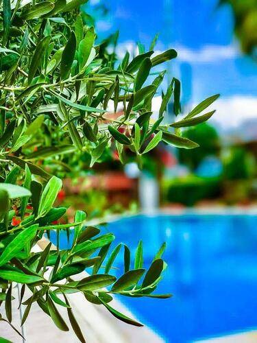 Nehir Apart Hotel