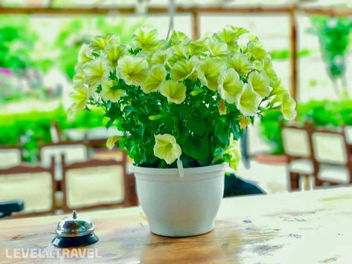 фотографии отеля Nehir Apart Hotel в Турция(Фетхие) - фото №24