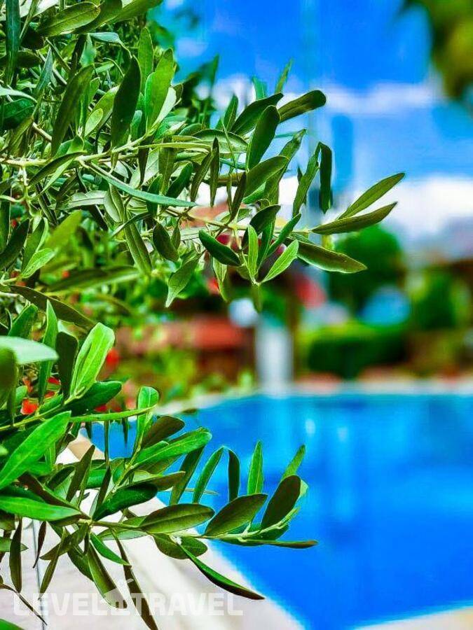 фотографии отеля Nehir Apart Hotel в Турция(Фетхие) - фото №11