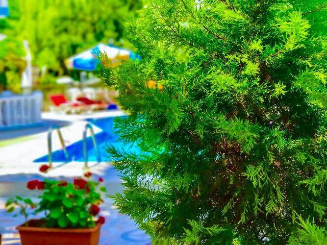 Nehir Apart Hotel