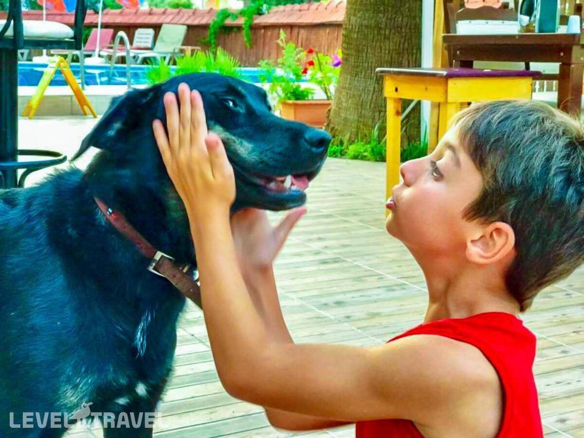 фотографии отеля Nehir Apart Hotel в Турция(Фетхие) - фото №20