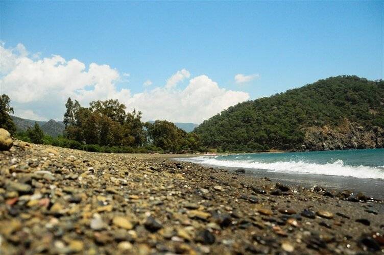 Kerem Gocek