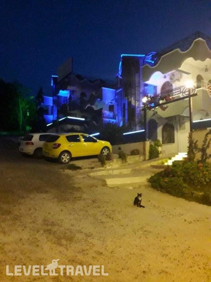 Изображение отеля 13