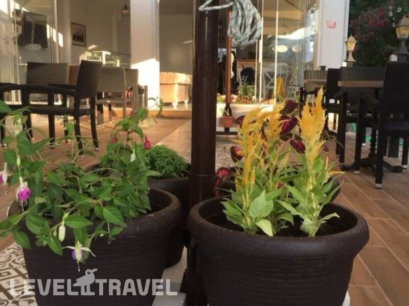 Фотография Badoka Boutique Hotel