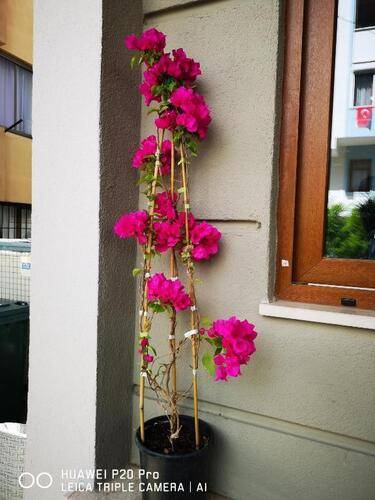 City Hotel Marmaris