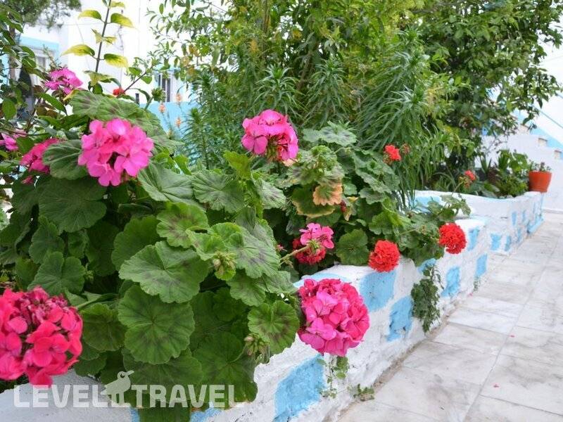 Фотография Duru Butik Otel
