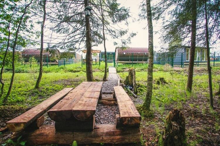 Елки Порожки