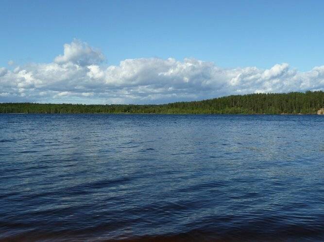 Гостиница Лесная Рапсодия