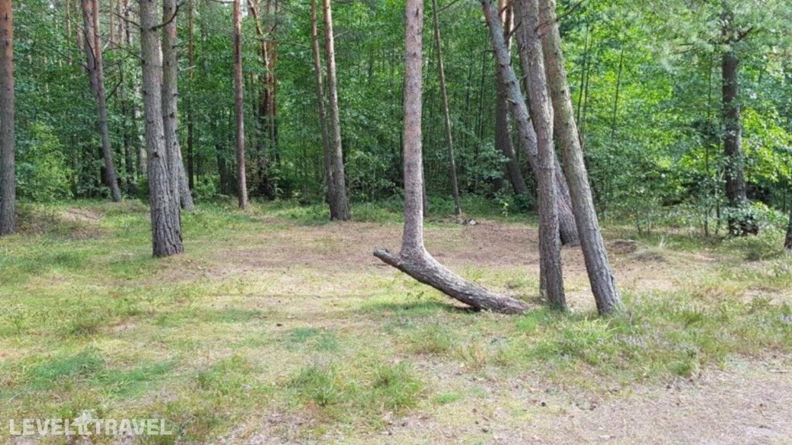 Изображение отеля 37