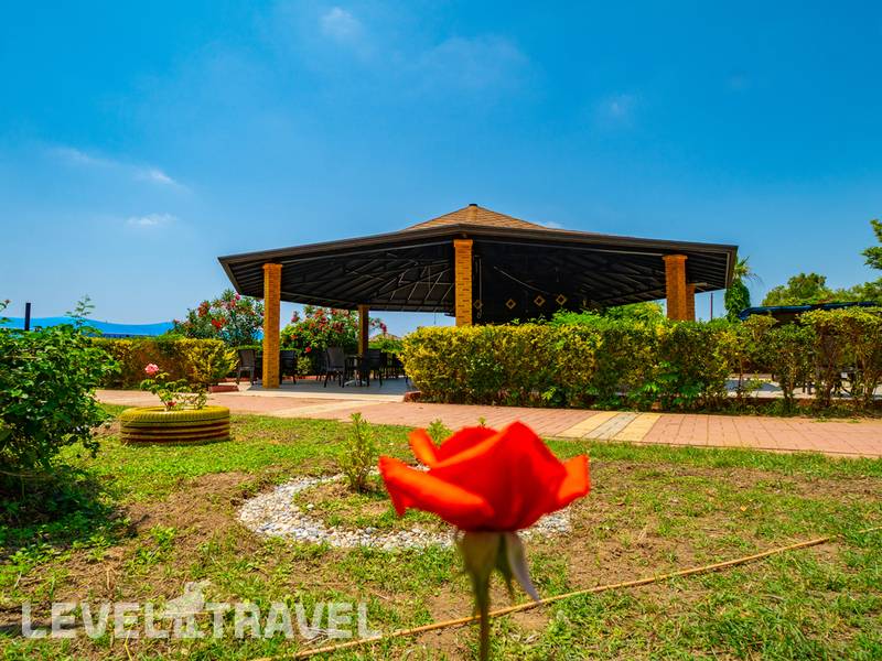 Фотография Clover Magic Garden Beach (Ex.Mediterranean Breeze) Фотография Clover Magic Garden Beach (Ex.Mediterranean Breeze)