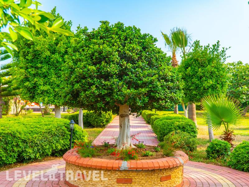 Фотография Clover Magic Garden Beach (Ex.Mediterranean Breeze) Фотография Clover Magic Garden Beach (Ex.Mediterranean Breeze)