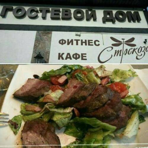 ГД Стрекоза