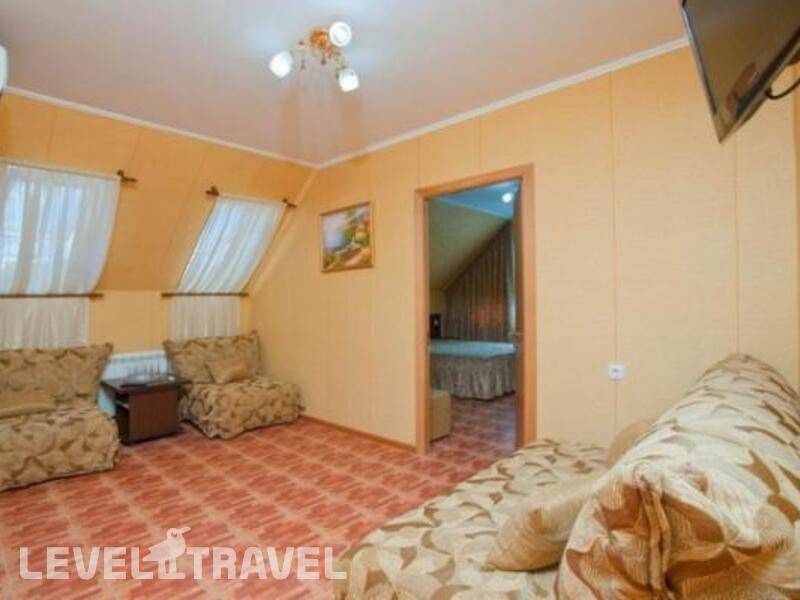 Фотография Дельфин
