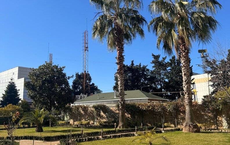 Гринхаус (Greenhouse)