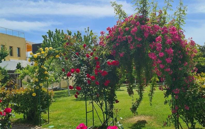 Гринхаус (Greenhouse)