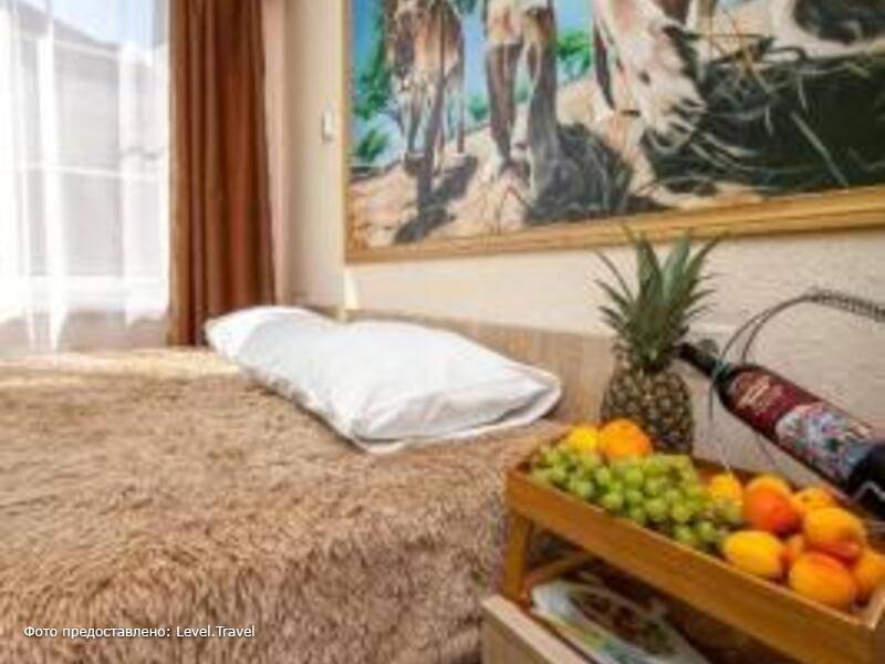 Фотография Счастливый Слон