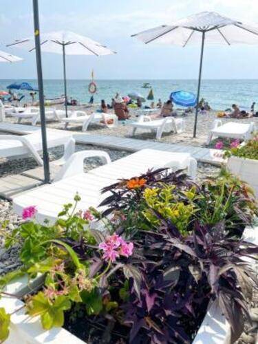 Ola resort (Ола резорт)