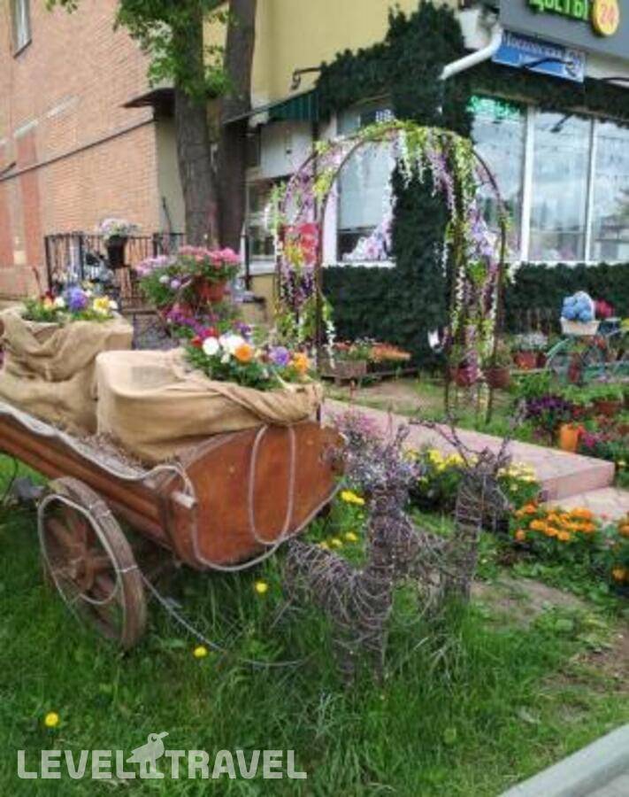 Изображение отеля 11