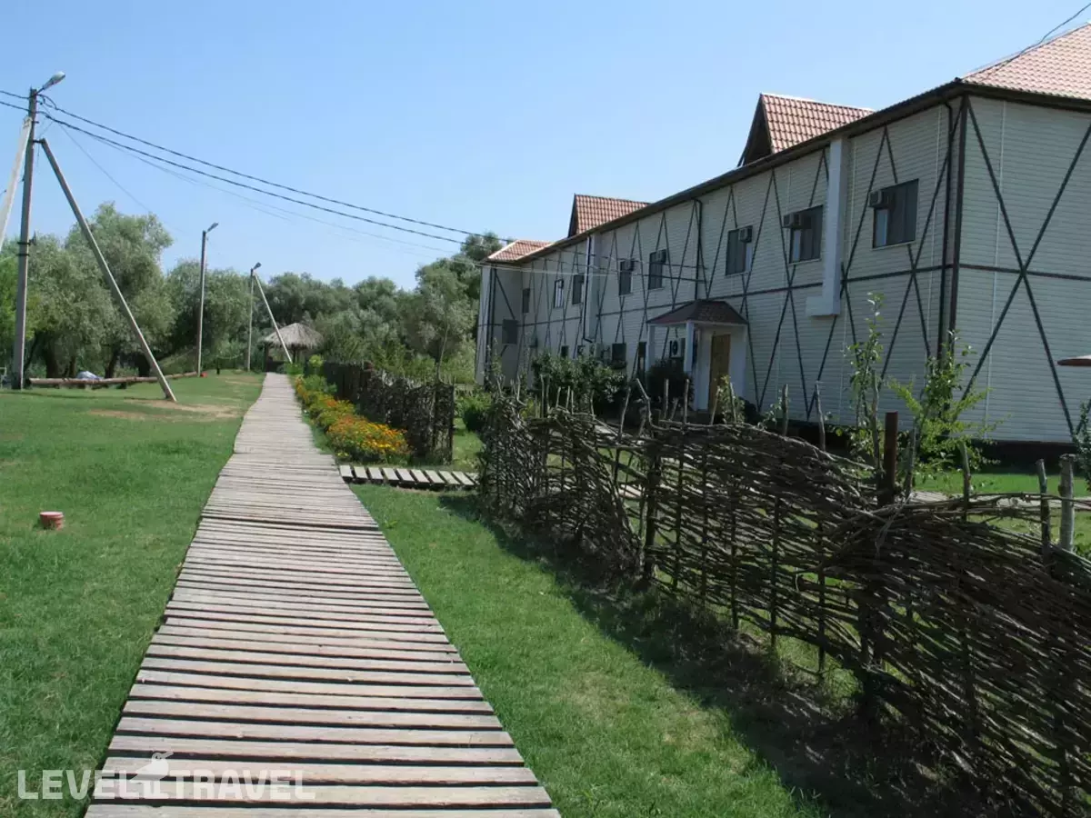 Найт- Флайт Дельта