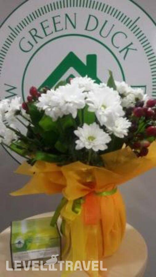 Изображение отеля 37