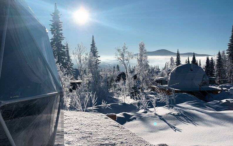 DzenDome (ДзенДом)