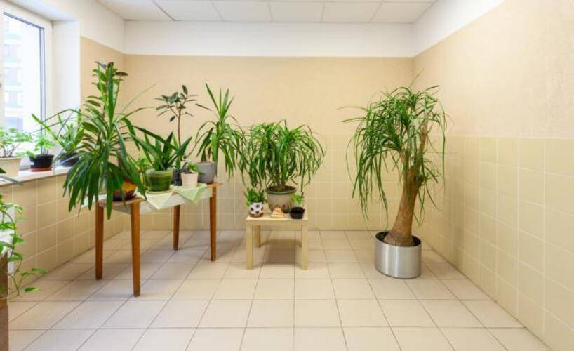 MaxRealty24 (МаксРеалти24) на Новотушинской 4