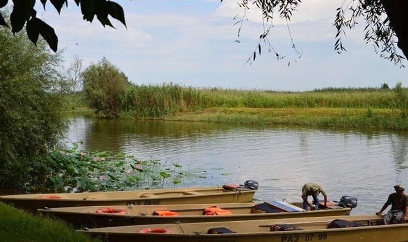 Золотой Лотос