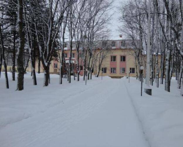 Чайка