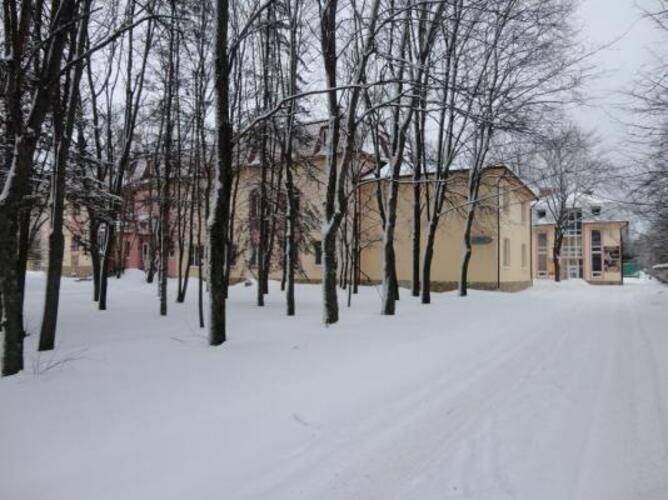 Чайка