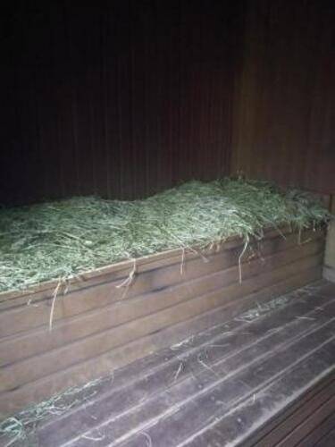 База отдыха Огни Имандры