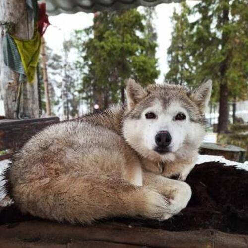База отдыха Экостровская