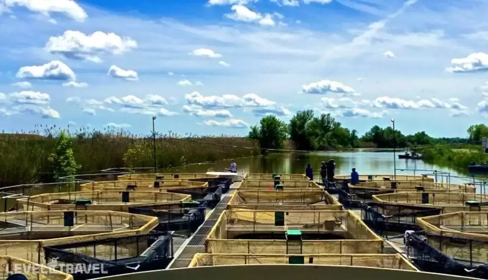 Клуб рыбаков и охотников Астория