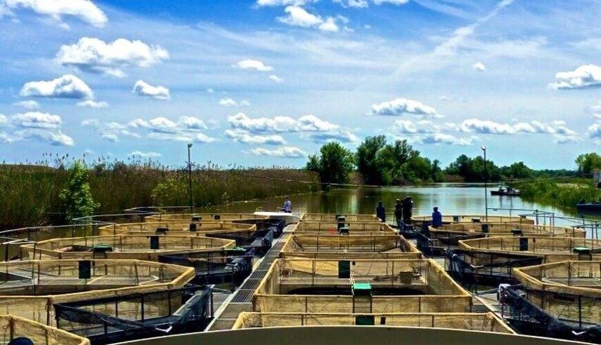 Клуб рыбаков и охотников Астория