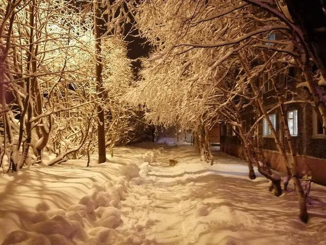 Горная Долина