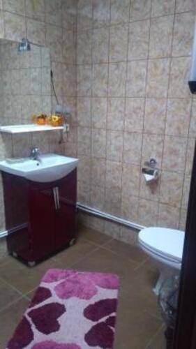 Кола